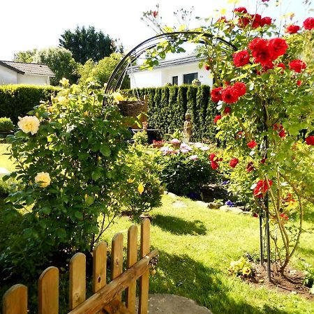 Gaestehaus Plum Roetgen Dış mekan fotoğraf